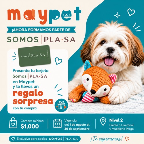 Regalo sorpresa